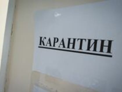 Смертельная инфекция. В Калачинском районе Омской области ввели карантин по бешенству