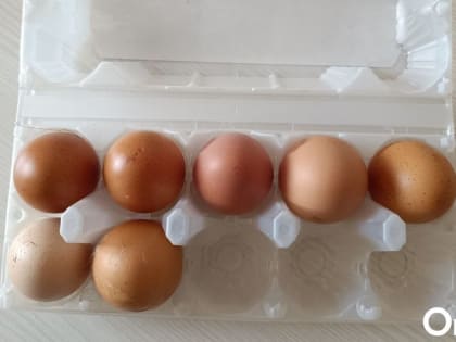 Производство яйца и мяса птицы с начала года выросло в Новосибирской области