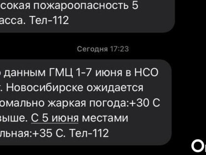 Новосибирцам приходят сообщения от МЧС с предупреждением об аномальной жаре в регионе