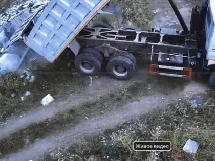 Это бьет по всем: в Омске процветает «черный» мусорный бизнес