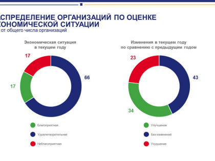 Об инвестиционной активности организаций в 2023 году