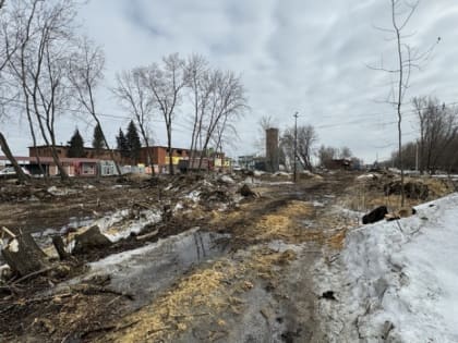 Мэрия прокомментировала вырубку дикого парка в Кировском округе Омска