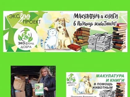 Новые инициативы в сфере образования в России