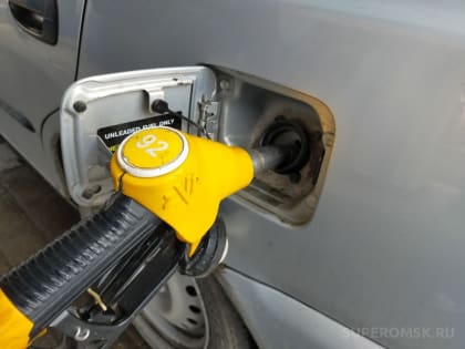 Как за год в Омской области подорожал бензин?