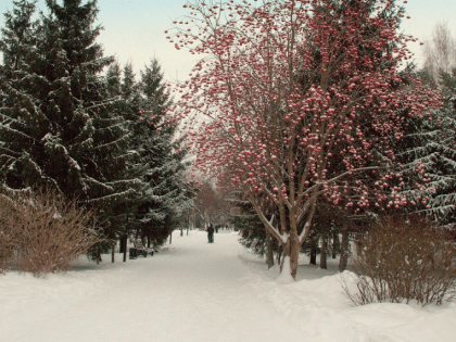 О самом морозном дне в истории Новосибирска рассказала синоптик Анна Лапчик