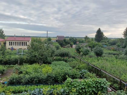 Огороды омичей возьмут на учет