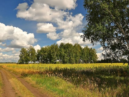 Переменная облачность: омичи узнали о погоде на понедельник