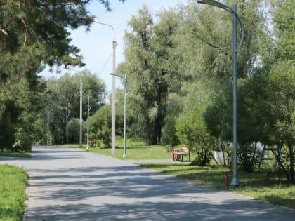 Инвесторы планируют увеличить объемы вложений в перспективные проекты