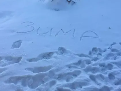 Туман и скользкие дороги: какая погода ждет омичей 5 января