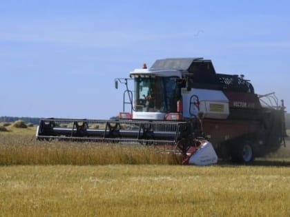 Омские хлеборобы намолотили уже 1,9 млн тонн зерна