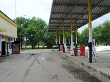 В Омской области на ряд видов топлива упала оптовая цена