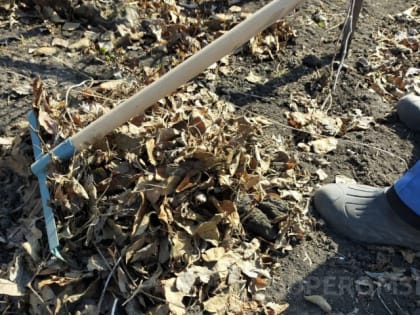 К помещениям на первых этажах Омска вводят 20-метровую зону ответственности