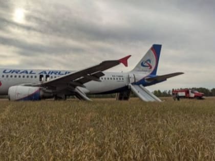 Пассажирам севшего в поле самолета Сочи — Омск выплатят по 100 тысяч