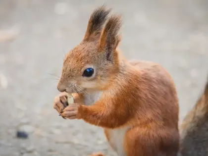 Встречи с психологами для омичей: поддержка в трудные времена