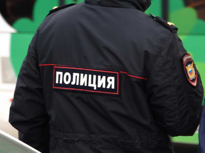 Омский школьник ради хайпа попросил сжечь иномарку врача