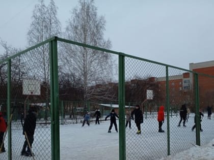 Ледовый каток в Загородном: радость для детей и взрослых