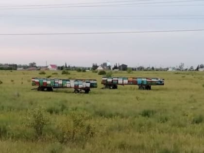 Администрация Калачинска оперативно отреагировала на статью про бизнес-халяву на БК55