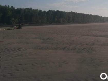 В Омской области пересыхает известная река
