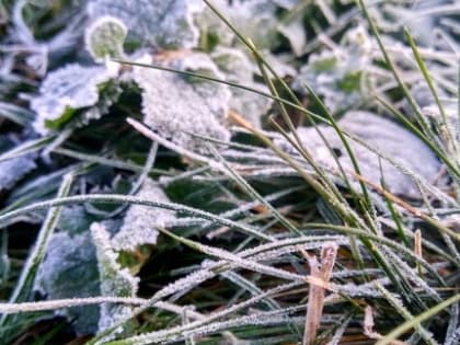 В Омской области из-за заморозков объявили штормовое предупреждение