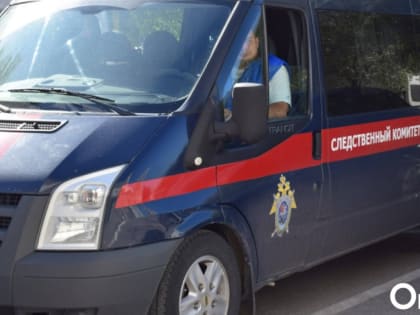 СК начал проверку после обнаружения насмерть замерзшей пары под Новосибирском