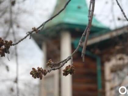 Омичей к концу недели ждут мощное потепление и дожди