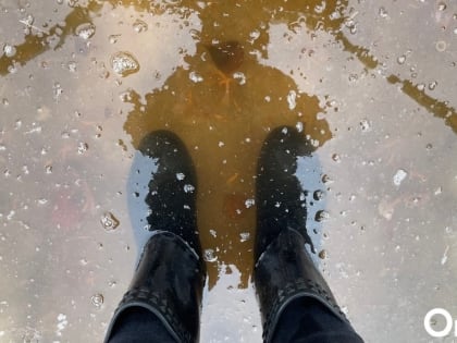 «Вода идёт в подвал»: омичи жалуются на потоп в Чкаловске