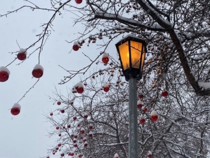 Новосибирск занесёт снегом днём 2 января 2023 года