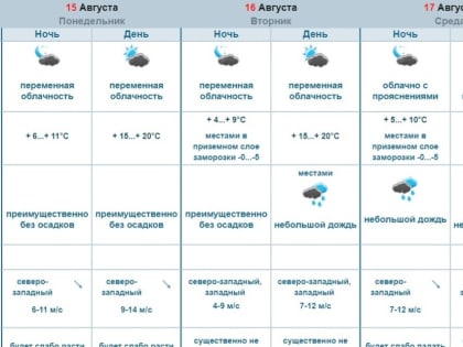 Экстремальное лето. В Омске ожидают минусовую температуру