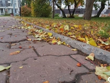 Дожди и резкое похолодание накроют Новосибирск к концу сентября