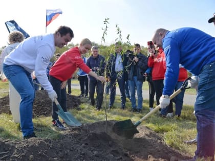 Глава региона Виталий Хоценко принял участие в субботнике и высадке деревьев в парке Победы
