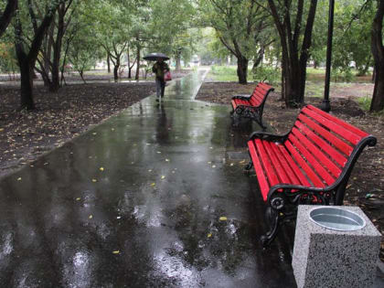 Всю следующую неделю в Омске будет прохладно и дождливо