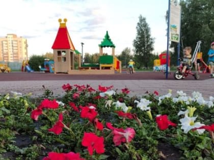 Правила благоустройства в Омске, скорее всего, изменятся