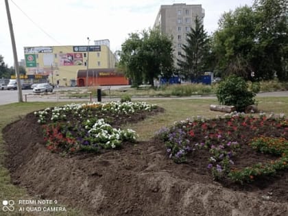 Подготовка к конкурсу Омские улицы.