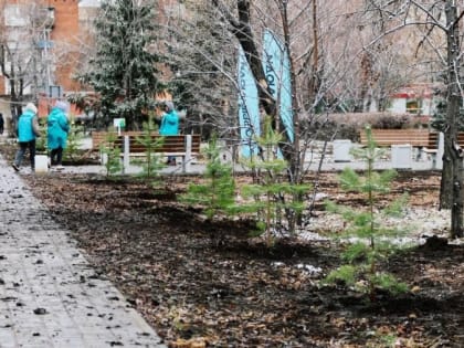 Экологическая инициатива Омска: проект «ЭКОточка» продолжает развиваться