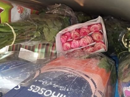 Через Омскую границу в Казахстан пытались провезти крупную партию цветов