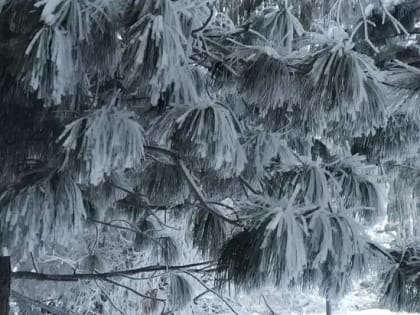 Изморозь и туман спрогнозировали синоптики в Омской области на 5 февраля