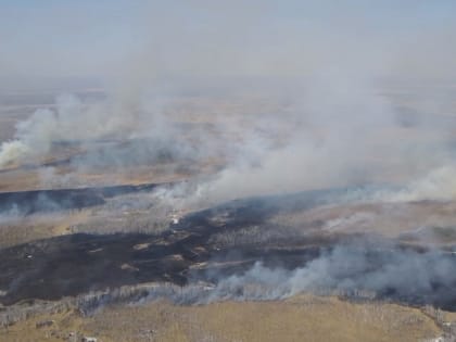 Омские санврачи рассказали, как защитить организм от воздействия смога во время природных пожаров