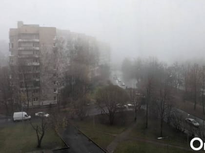 Дожди и мокрый снег: конец рабочей недели в Омске будет пасмурным