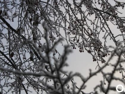 Понижение до -22 и снег. Зима в Омске ещё покажет характер