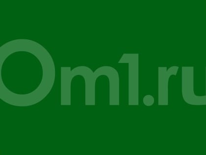 Бил по спине бортпроводника: авиадебошира из Новосибирска задержали после посадки в Петербурге