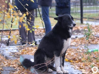 Синоптики прогнозируют обильные дожди по всей стране
