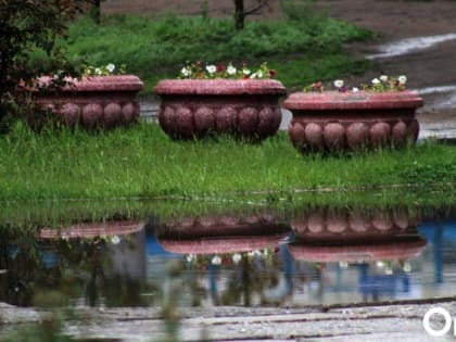 Июль в Омске начнётся с похолодания и проливных дождей