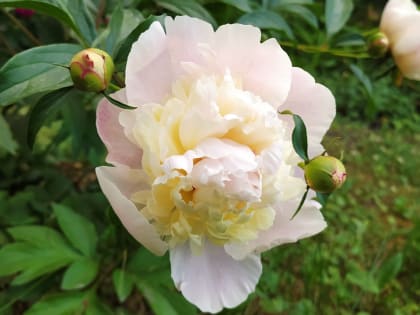 На выходных в Омске потеплеет до +29 градусов