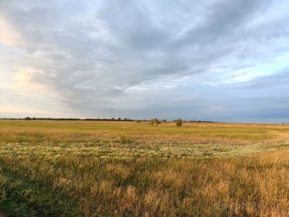 Реорганизация агрохимических служб в Омской области