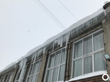 Первый день весны в Новосибирске начнётся с пасмурной погоды