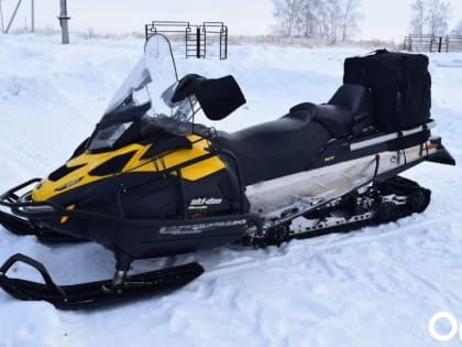 В Омске проведут проверку из-за жестокой охоты на волка: животное придавили снегоходом