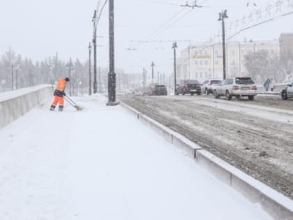 В Омской области в выходные ожидаются снег и усиление ветра
