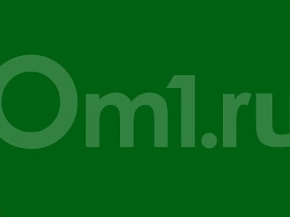 В Новосибирске водитель «Газели» отправился в колонию за гибель рабочего СГК