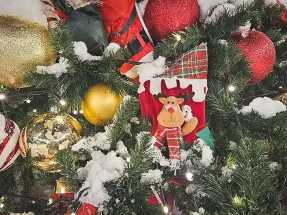 Чуда не будет: почему нет новогоднего настроения и как это связано с психикой