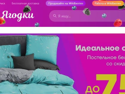 Wildberries ввел комиссию для россиян, которые платят картами Visa и Mastercard